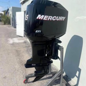 2004 225Hp Mercury EFI outboard